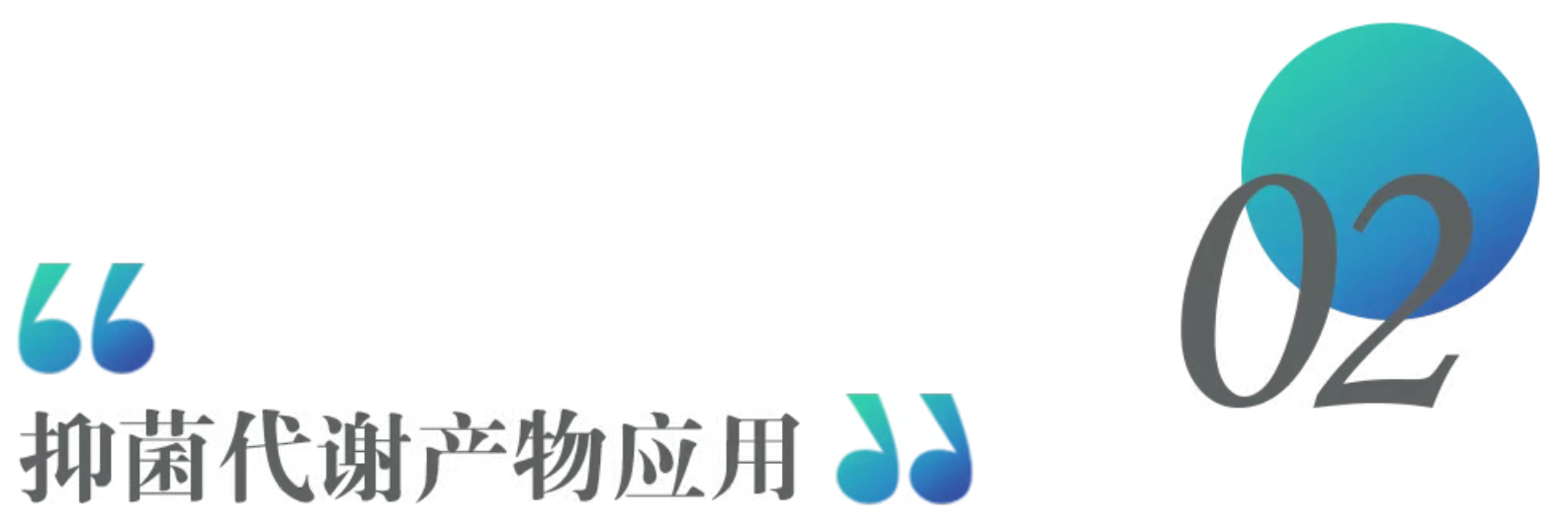 1785203420236012.png 95aec34044889c8ce5b4558cff04c450.png